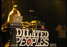 Show Photo